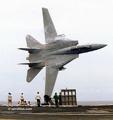 F-14 fly-by